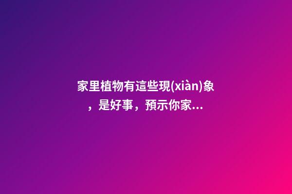 家里植物有這些現(xiàn)象，是好事，預示你家要發(fā)大財了！